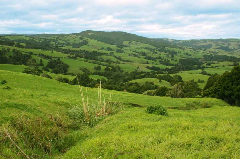 227 - Nueva Zelanda, paisaje